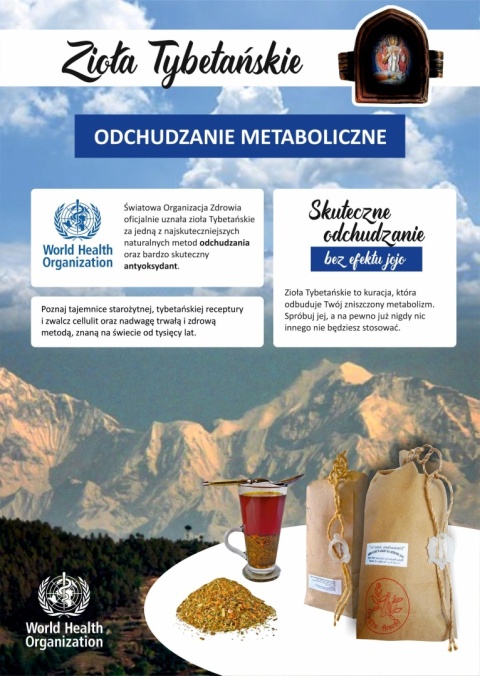(12) Zioła Tybetańskie " Znhz " Zdrowe i skuteczne odchudzanie. Szybki metabolizm. 12 opakowań suszu ziołowego do parzenia.